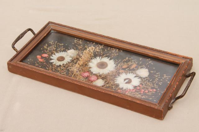 photo of vintage wood framed plant specimen mounts under glass, dried pressed flowers tray #1
