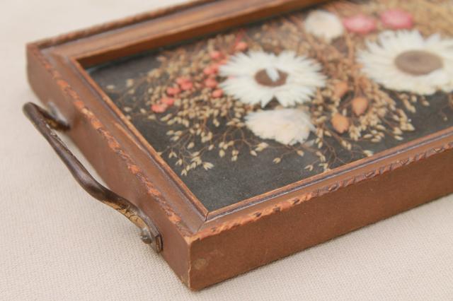 photo of vintage wood framed plant specimen mounts under glass, dried pressed flowers tray #2