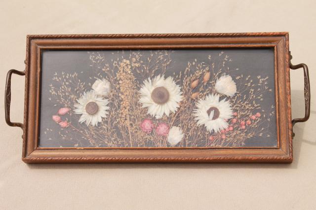 photo of vintage wood framed plant specimen mounts under glass, dried pressed flowers tray #3