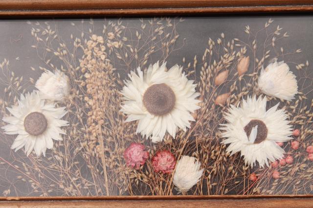 photo of vintage wood framed plant specimen mounts under glass, dried pressed flowers tray #5