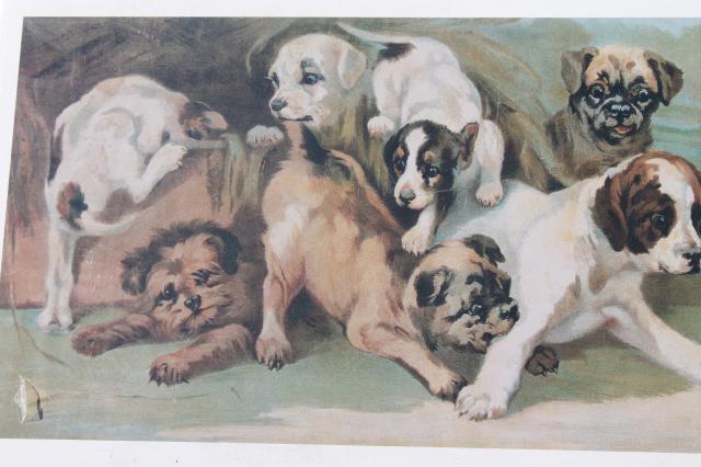 photo of vintage yard long prints, antique reproductions yard of puppies, study of roses #4