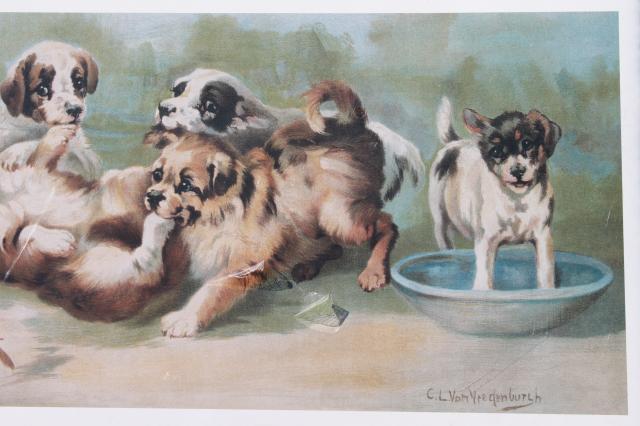 photo of vintage yard long prints, antique reproductions yard of puppies, study of roses #6