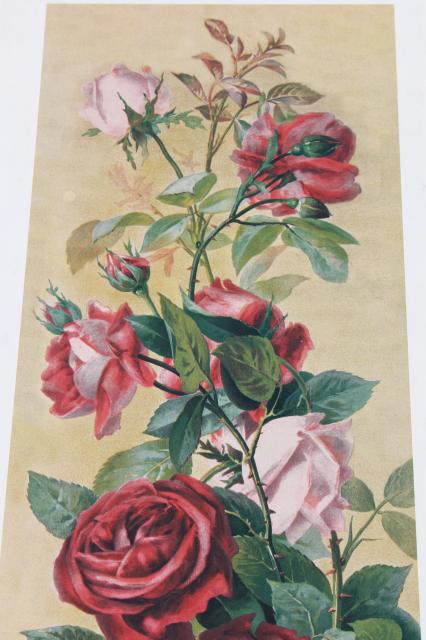 photo of vintage yard long prints, antique reproductions yard of puppies, study of roses #10