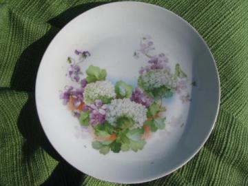 catalog photo of violets and snowball flowers, old antique china plate marked Germany