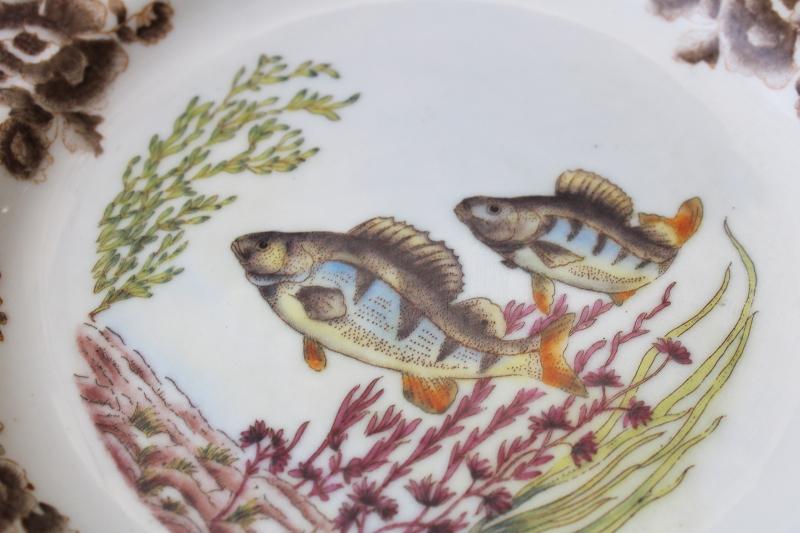 photo of wall art set vintage ironstone fish plates, transferware china w/ painted details #2