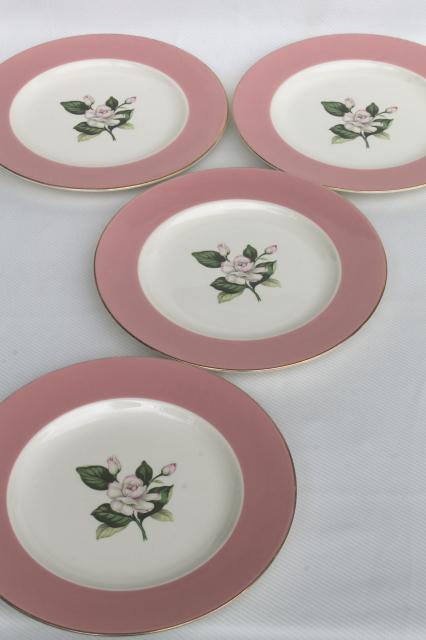 photo of wide pink border flowered china plates, Alliance Glenwood vintage Homer Laughlin #1