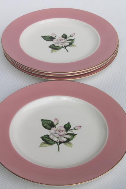 photo of wide pink border flowered china plates, Alliance Glenwood vintage Homer Laughlin #2