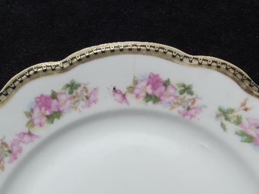 photo of wild rose w/ black and gold, vintage Wheelock china bread and butter plates #3